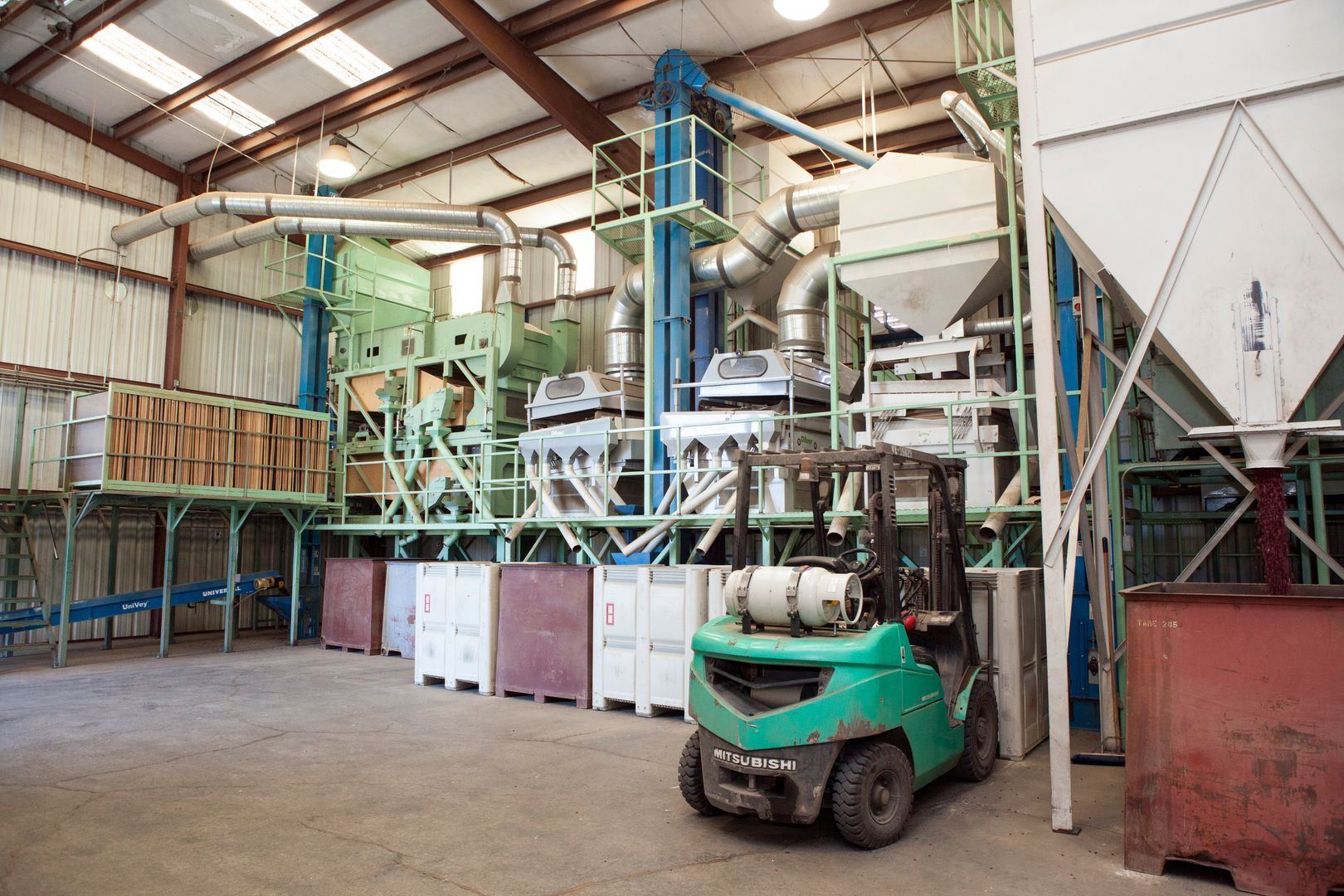 Cover crops growing at Pleasant Grove Farms