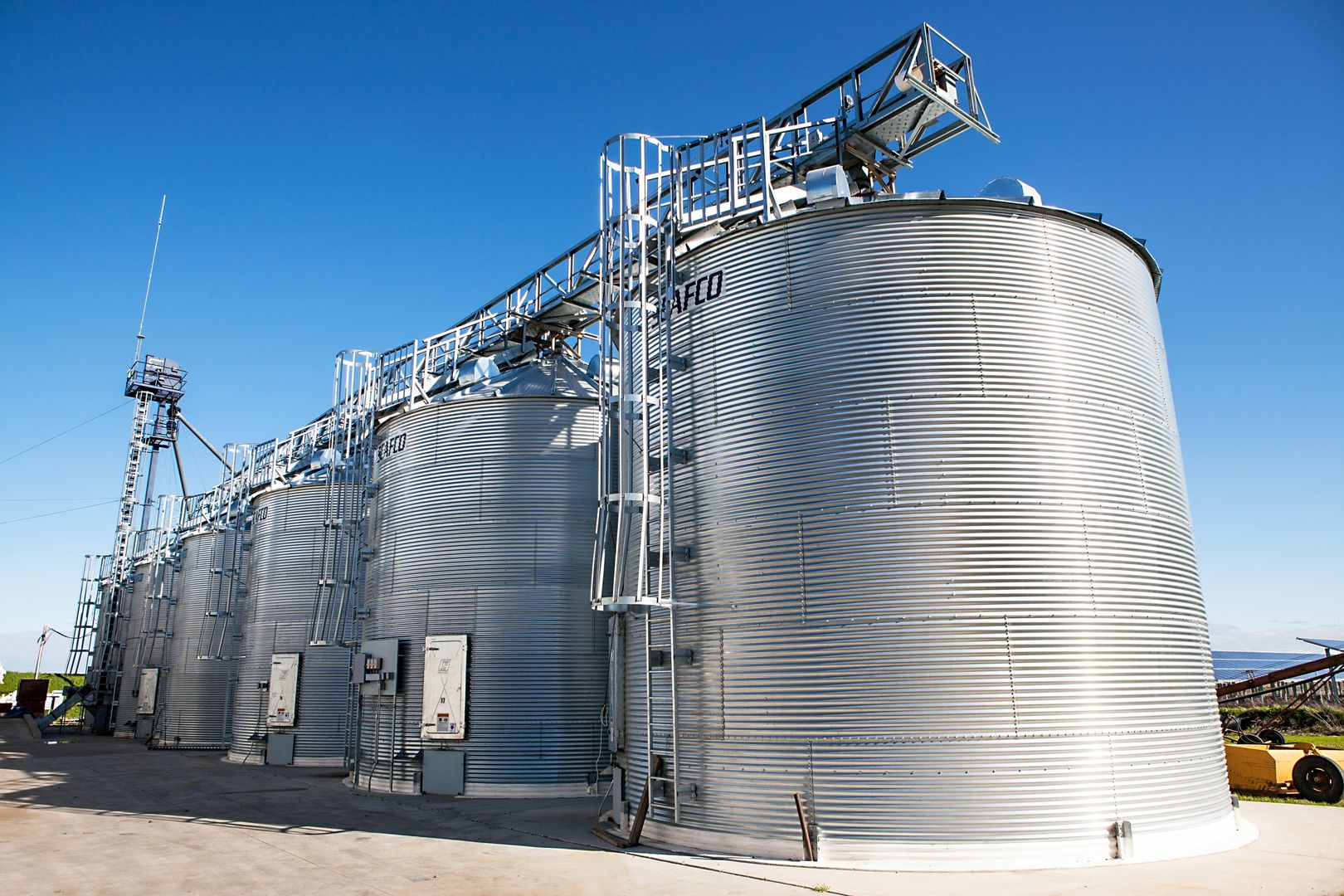 Organic grain crop growing at Pleasant Grove Farms