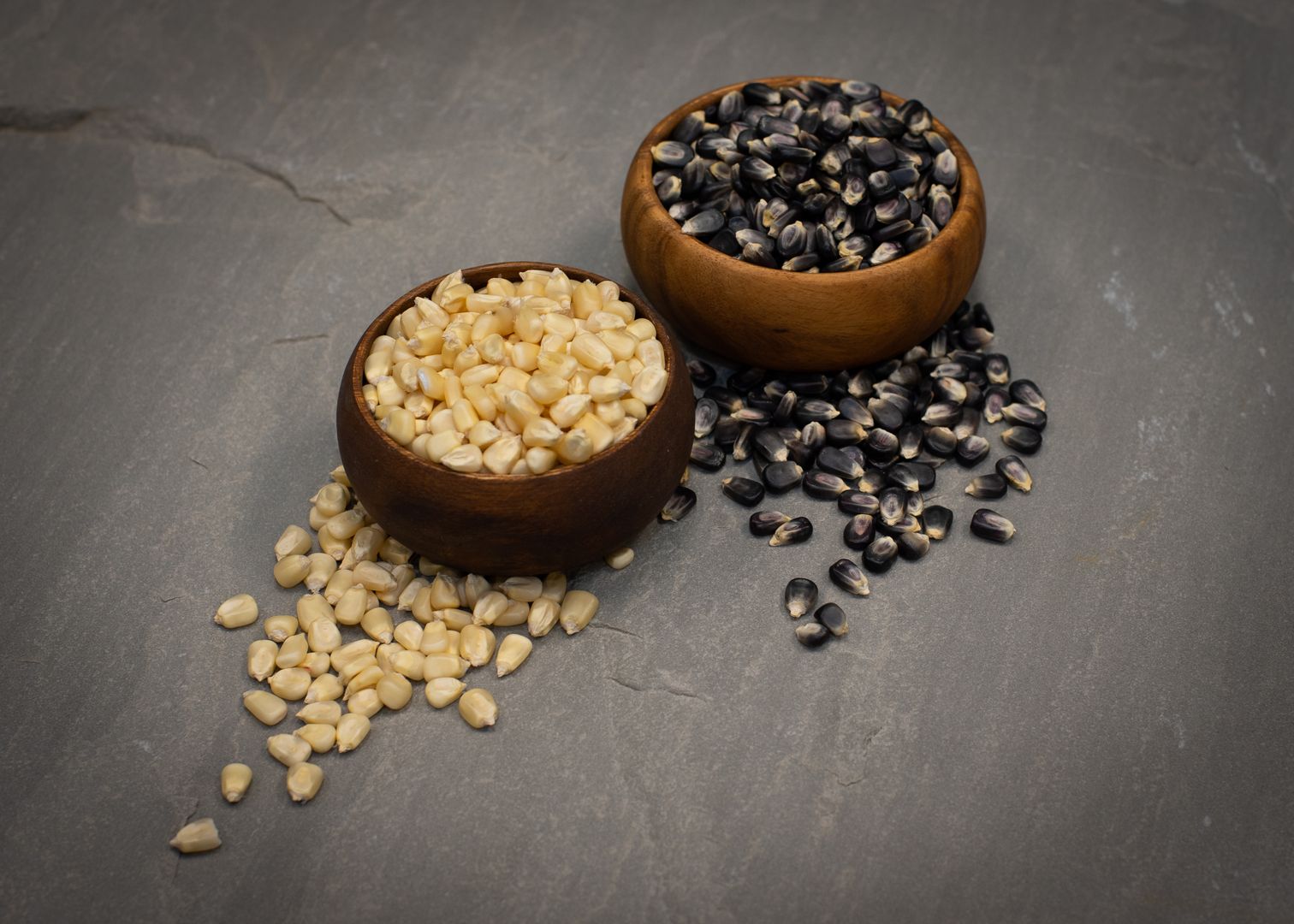 CCOF certified organic white and blue corn from Pleasant Grove Farms