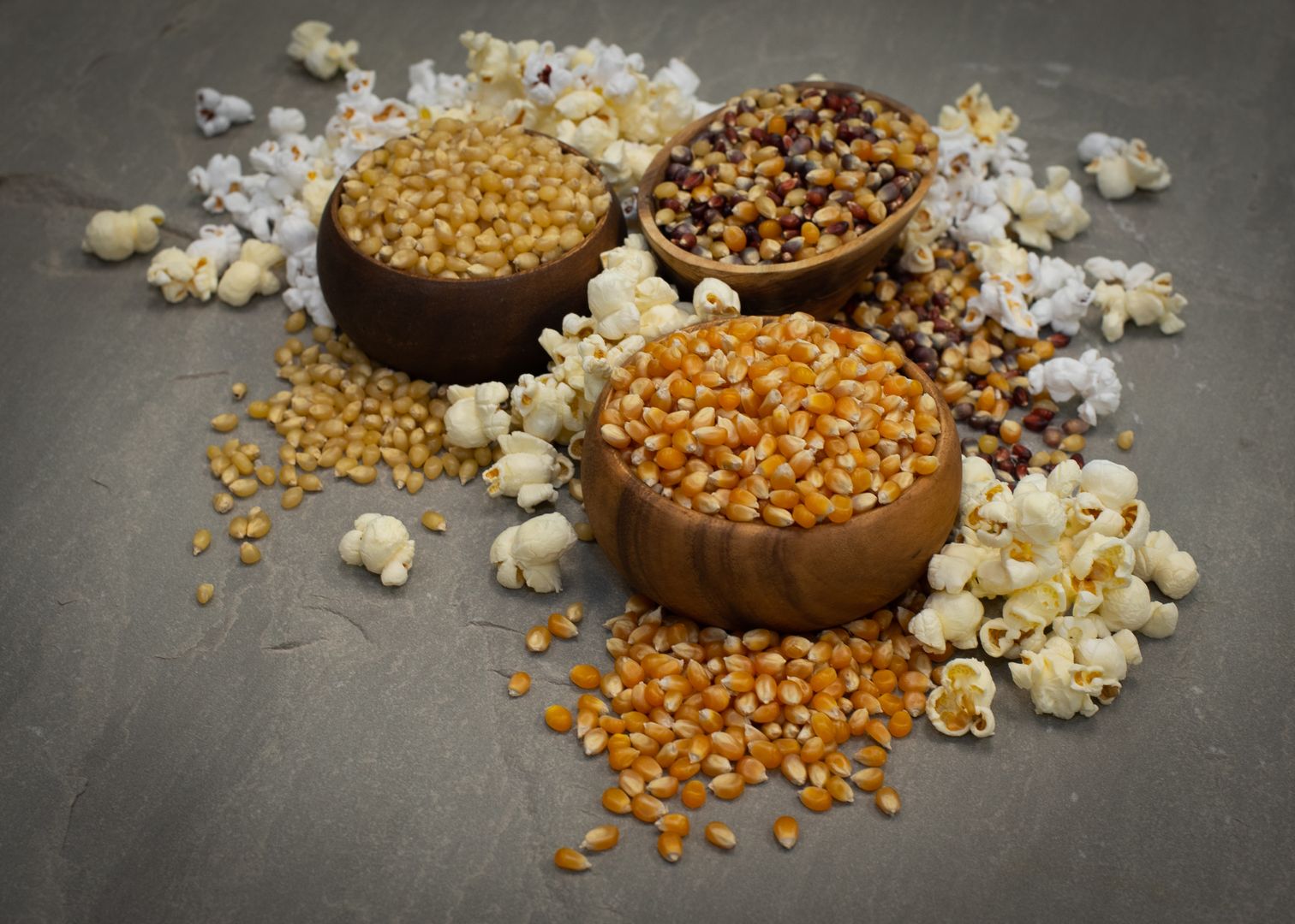 CCOF certified organic popcorn — yellow butterfly, mushroom, white, and multicolor varieties