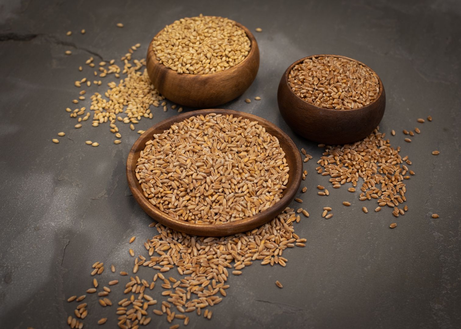 CCOF certified organic wheat and triticale — hard red wheat, soft white wheat, and triticale